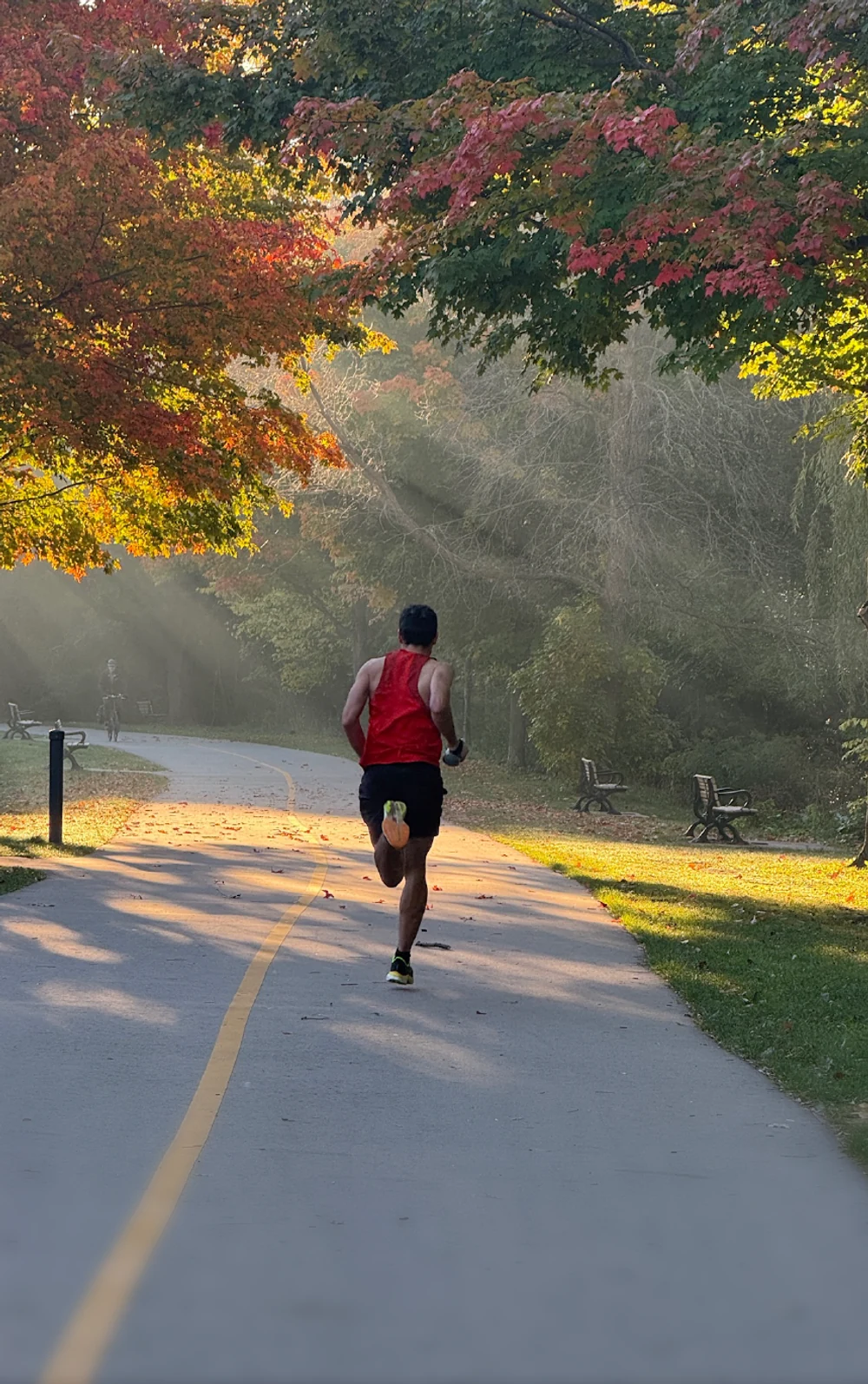 Runner on a quiet road beneath autumn trees