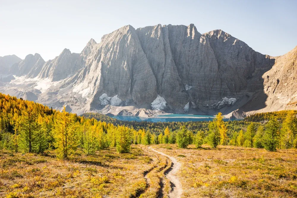 The limestone Rockwall above Floe Lake, with larches turning gold